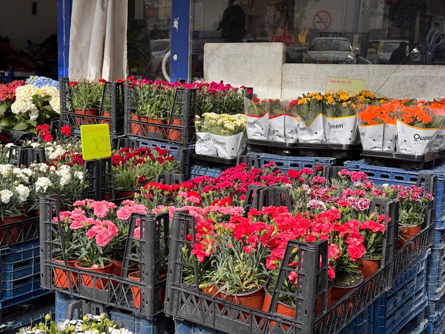 A display of various potted flowering plants arranged on black plastic crates at a flower shop. The arrangement includes pink, red, white, yellow, and orange blooms, possibly carnations and marigolds,